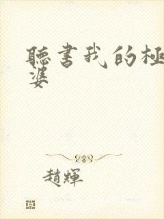 听书我的极品老婆