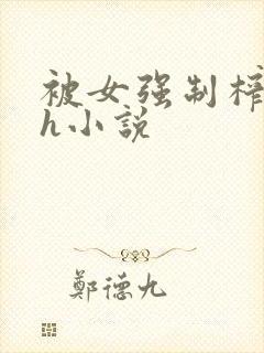 被女强制榨精的h小说