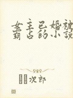 女主已婚被男主霸占的小说