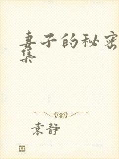 妻子的秘密第3集