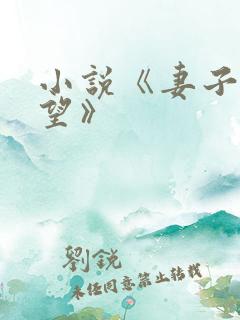 小说《妻子的欲望》