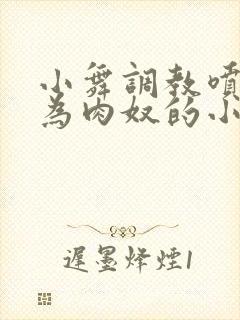 小舞调教喷水沦为肉奴的小说