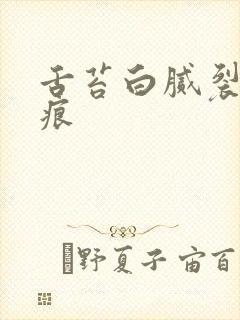 舌苔白腻裂纹齿痕