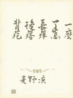 背后长了一片红疙瘩痒怎么回事