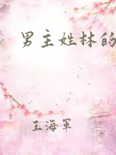 男主姓林的小说