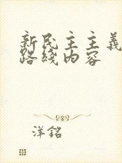 新民主主义革命路线内容