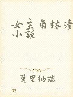 女主角林清婉的小说