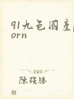 91九色国产porn