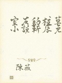 室友的校草男友小说靳辰免费阅读下载