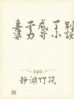 妻子成了别人老婆力哥小说免费阅读