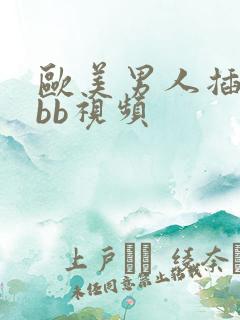 欧美男人插女人bb视频