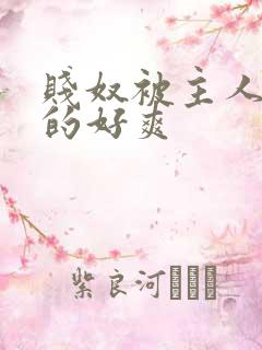 贱奴被主人调教的好爽