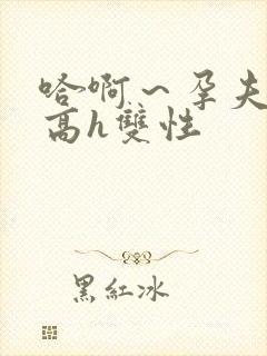 哈啊～孕夫大肚高h双性