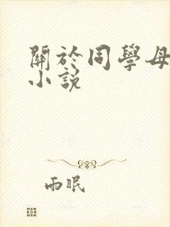 关于同学母亲的小说
