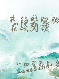 我的双胞胎老婆在线阅读