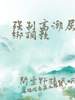 强制高潮屈辱捆绑调教