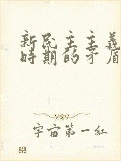 新民主主义革命时期的矛盾