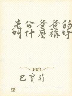 老公爸爸的弟弟叫什么称呼