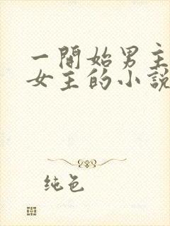 一开始男主想杀女主的小说