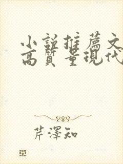 小说推荐文笔好高质量现代言情