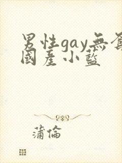 男性gay无套国产小蓝