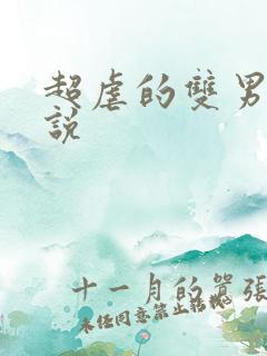 超虐的双男主小说