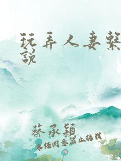 玩弄人妻系列小说