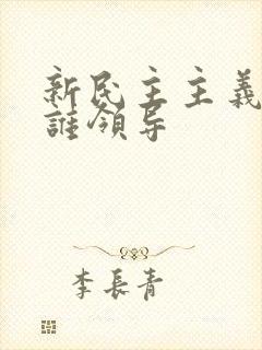 新民主主义革命谁领导