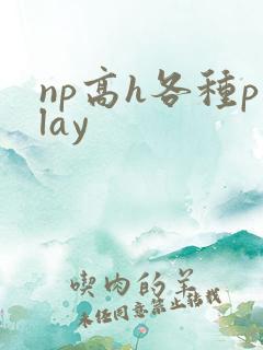 np高h各种play