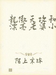 龙傲天攻和他的漂亮老婆小说