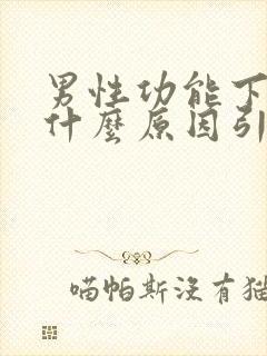 男性功能下降是什么原因引起的