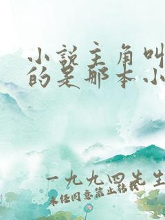 小说主角叫陈凡的是那本小说