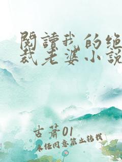 阅读我的绝色总裁老婆小说