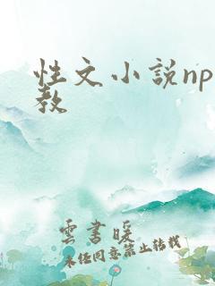 性文小说np调教