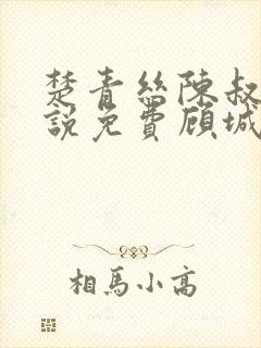 楚青丝陈叔的小说免费顾城佳人