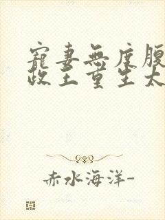 宠妻无度腹黑摄政王重生太粘人