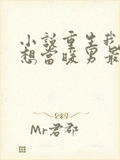 小说重生我真没想当暖男最新章节