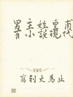 男主姓皇甫的所有小说现代言情