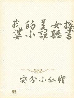 我的美女总裁老婆小说听书