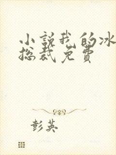 小说我的冰山女总裁免费