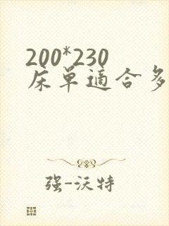 200*230床单适合多大的床