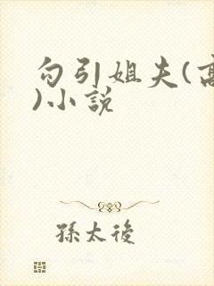 勾引姐夫(高h)小说