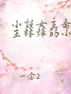 小说女主乔念男主林烨的小说