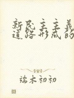 新民主主义革命道路形成的必然性是什么