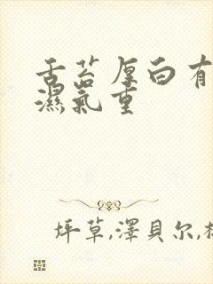 舌苔厚白有齿痕湿气重