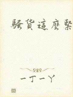 骚货这么紧小说