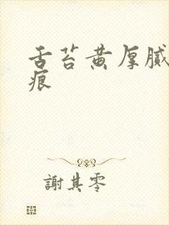 舌苔黄厚腻有齿痕