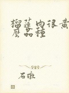 榴莲肉很黄是什么品种