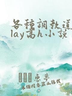 各种调教道具play高h小说