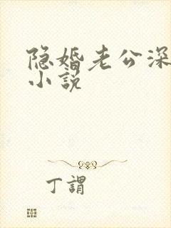 隐婚老公深夜来小说